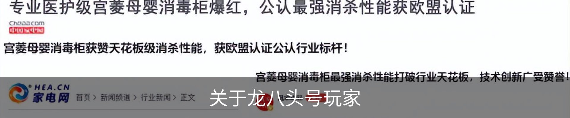 关于龙八头号玩家
