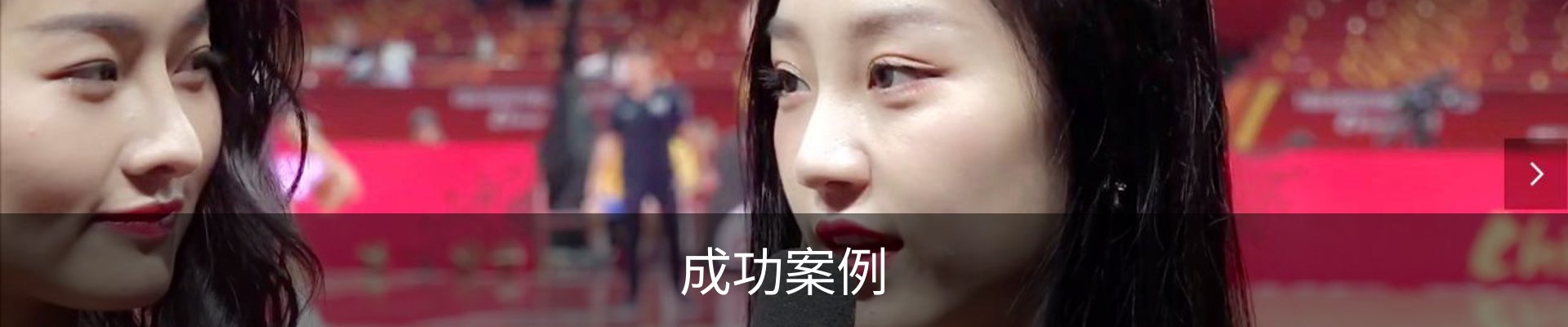 成功案例